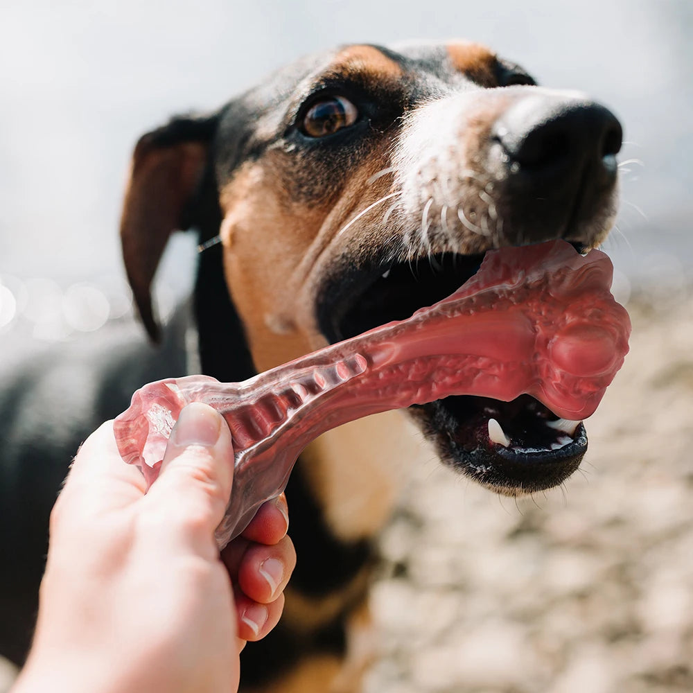 Indestructible Bone-Shaped Dog Toys for Aggressive Chewers - Perfect for Large Dogs & Teeth Cleaning Fun!