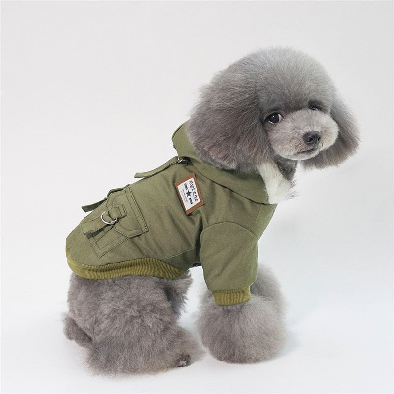 Stylish Cap Dog Coat for Ultimate Canine Comfort