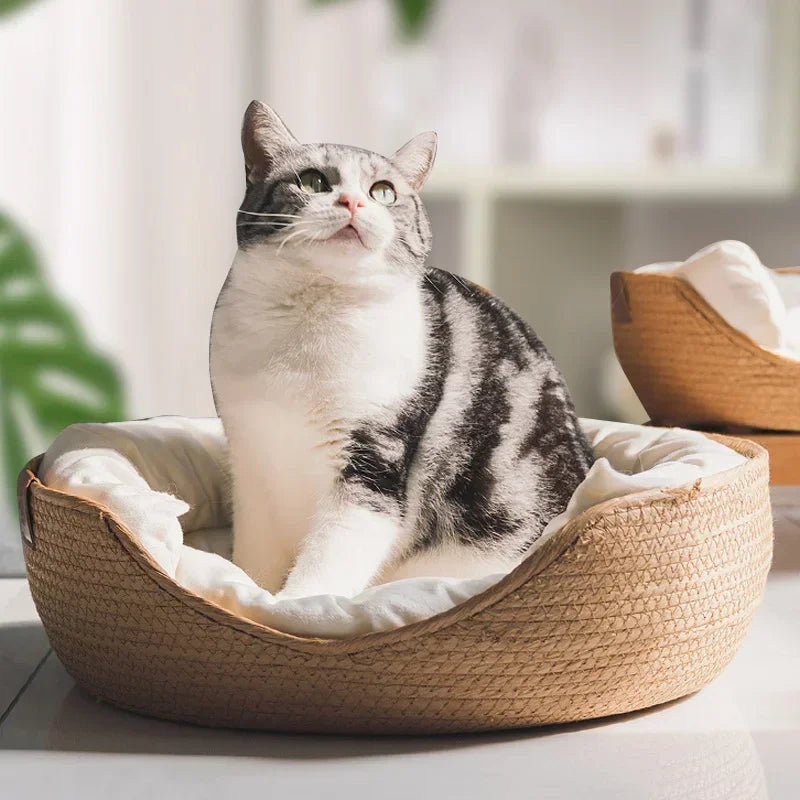 Cozy Bamboo Weave Pet Bed - Waterproof, Removable Cushion for All Seasons