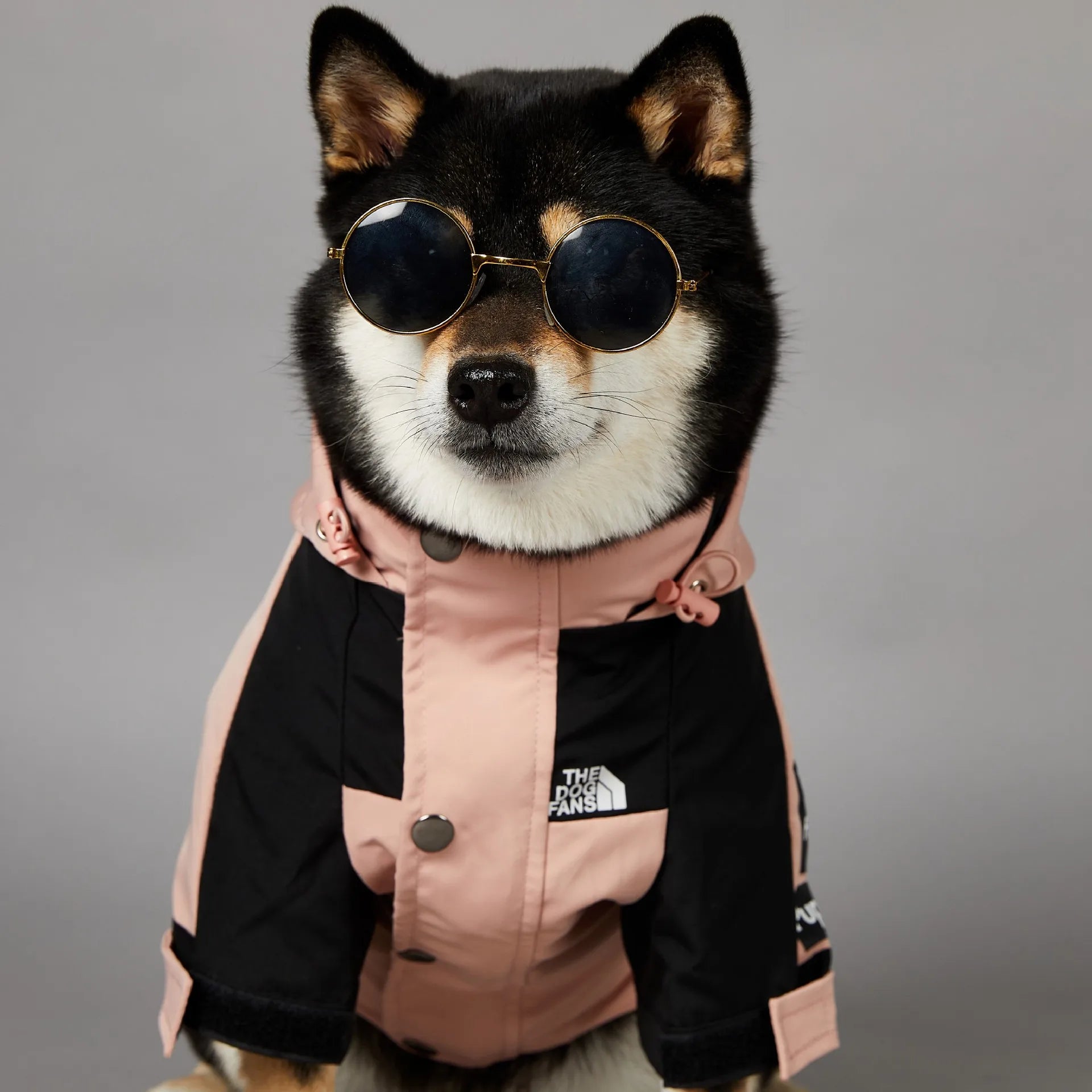Stylish Waterproof Dog Raincoat - Windbreaker Hoodie for Small & Large Dogs, Perfect for French Bulldogs & Chihuahuas
