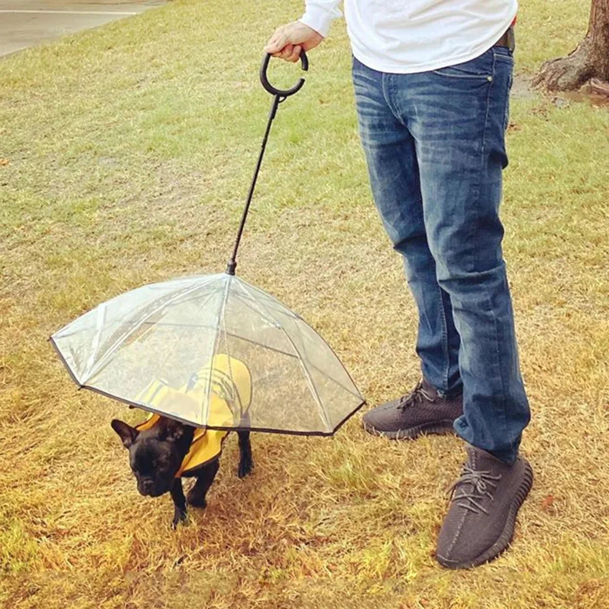 Hunde-Regenschirm