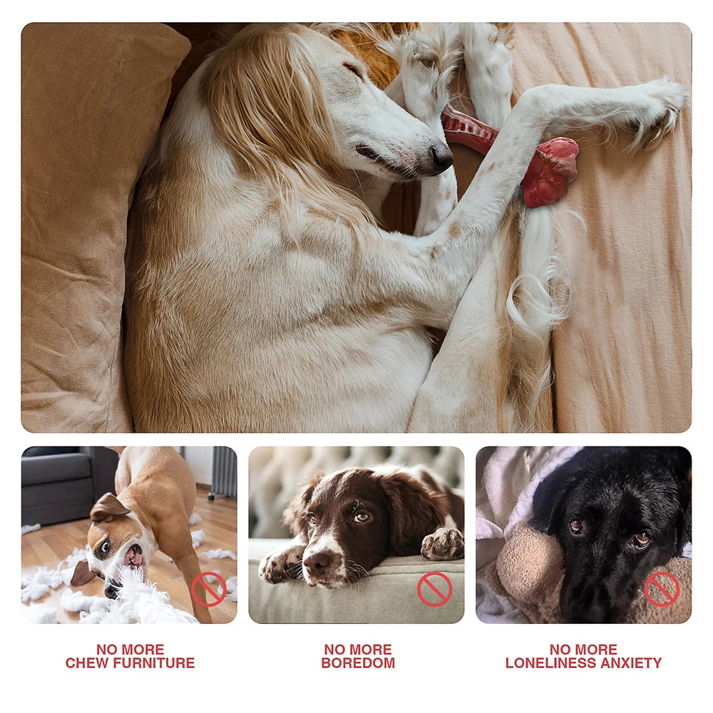 Indestructible Bone-Shaped Dog Toys for Aggressive Chewers - Perfect for Large Dogs & Teeth Cleaning Fun!