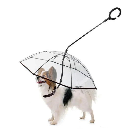 Hunde-Regenschirm